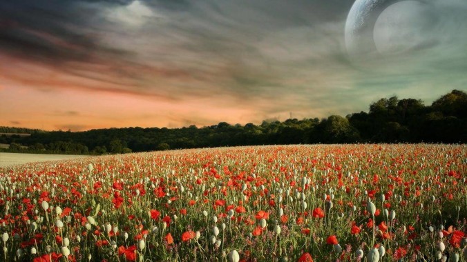 为什么感觉 Windows 10 自带的播放器效果比 PotPlayer 好？